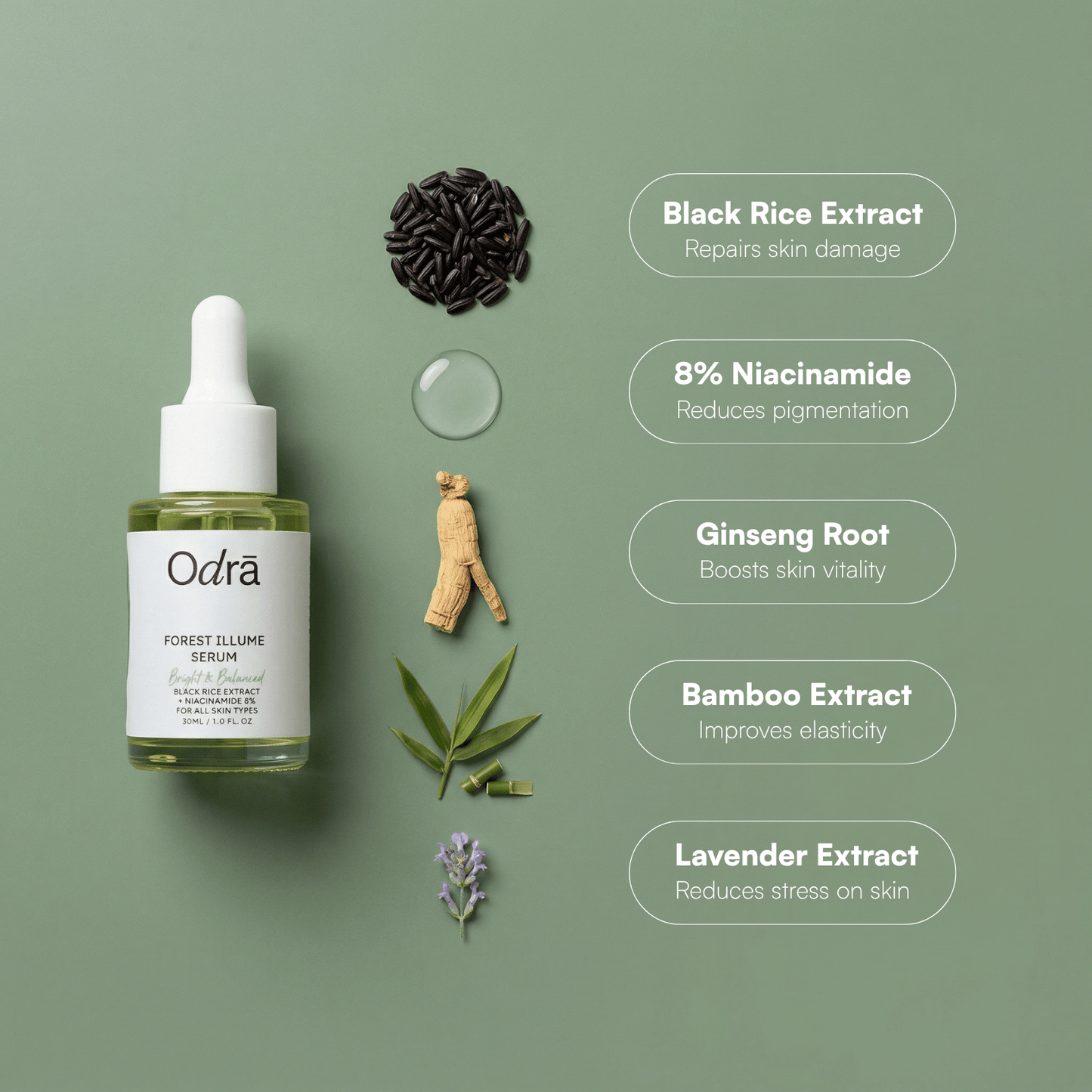 Forest Illume Bundle - Odra Organics