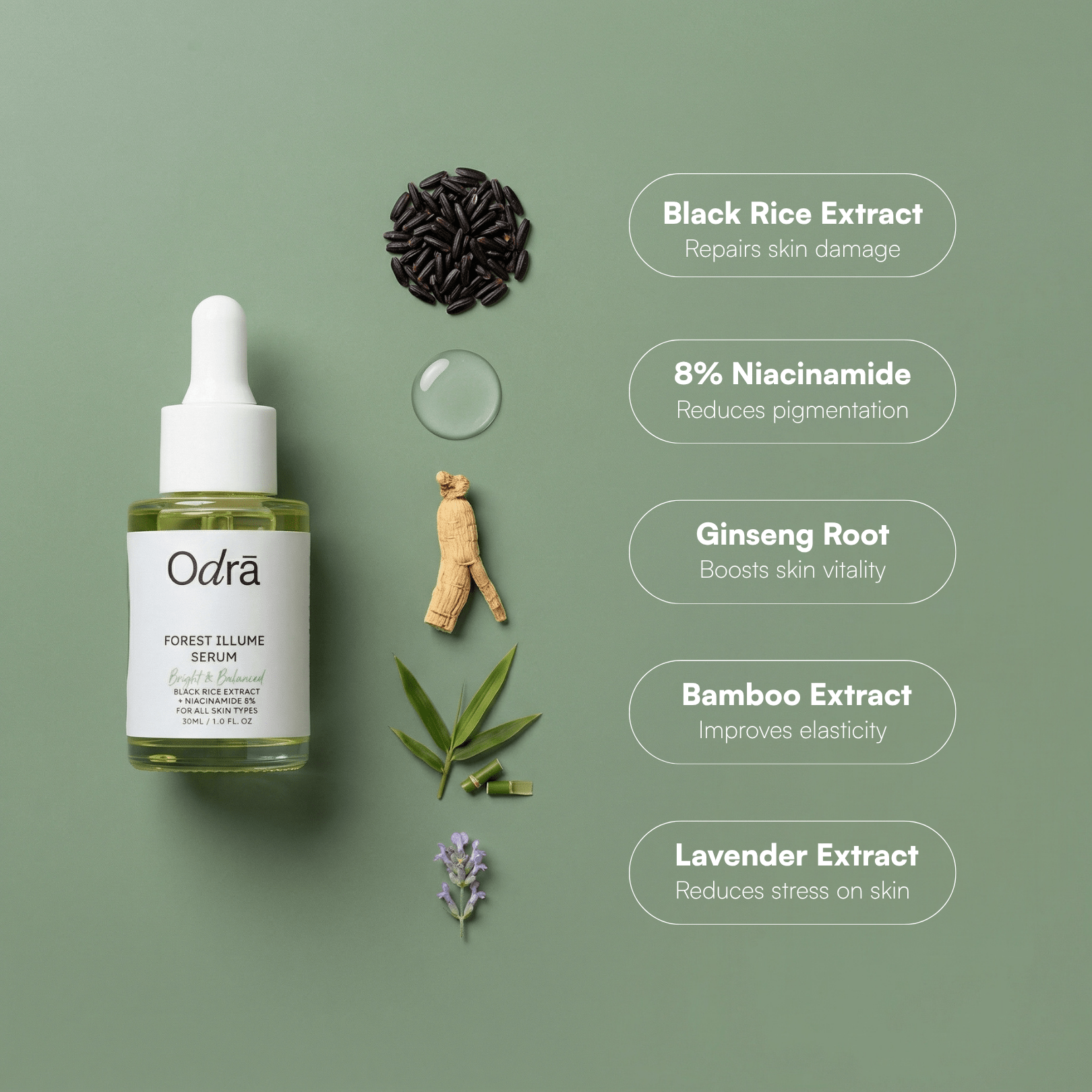 Forest Illume Bundle - Odra Organics