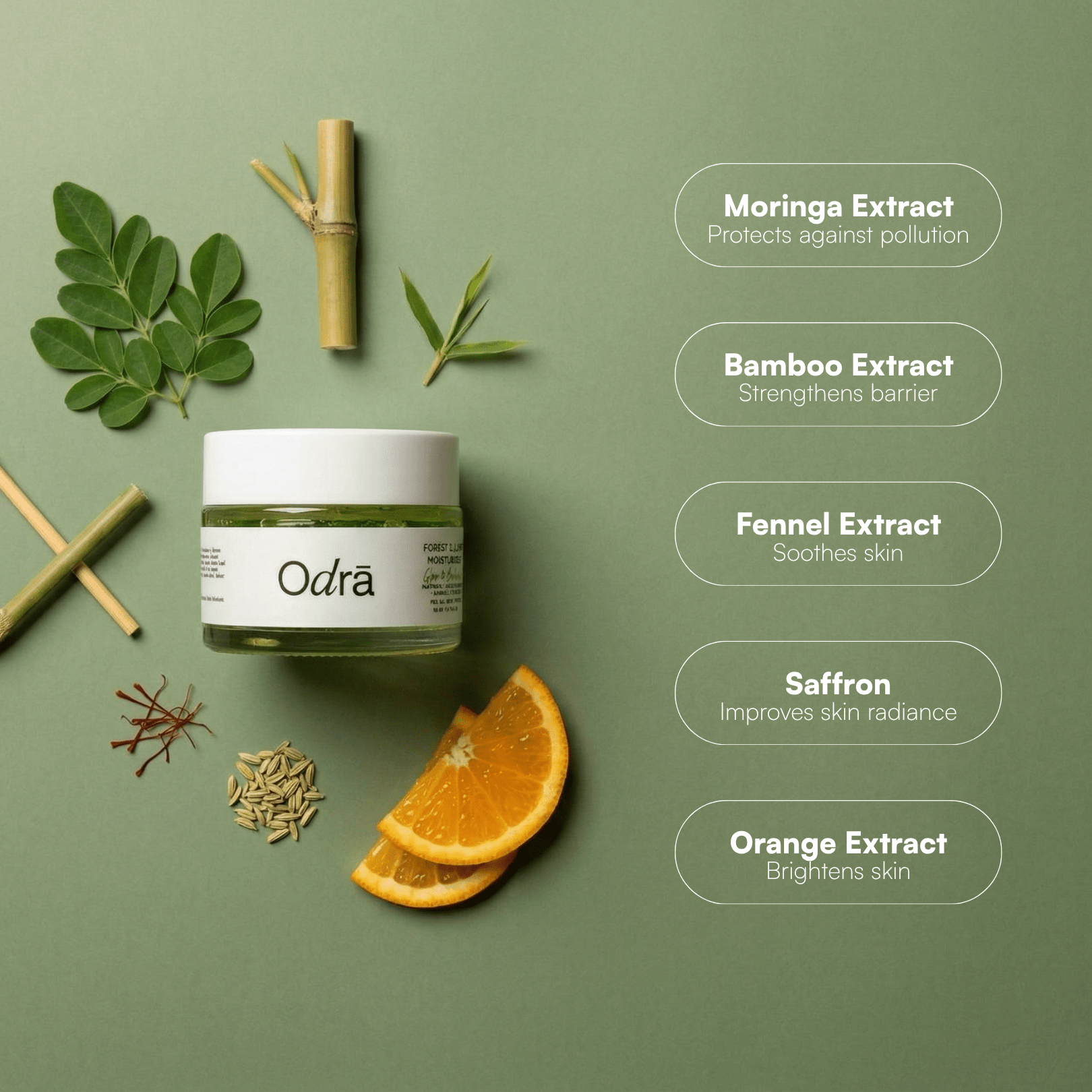 Forest Illume Bundle - Odra Organics