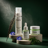 Forest Illume Bundle